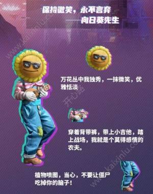 和平精英向日葵套装获取攻略 向日葵时装值得买吗图片1