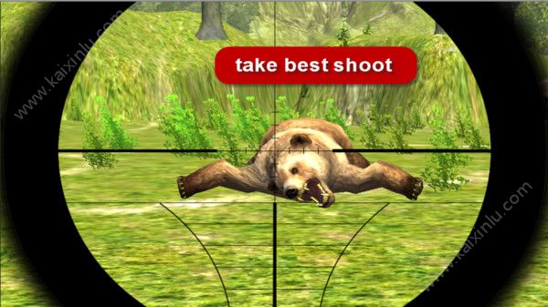野熊狩猎3D游戏图片3