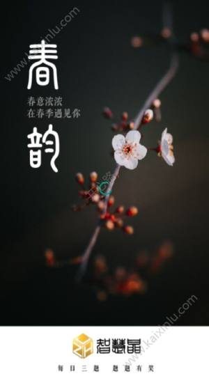 智慧晶3.0.2版本app官方最新版图片3
