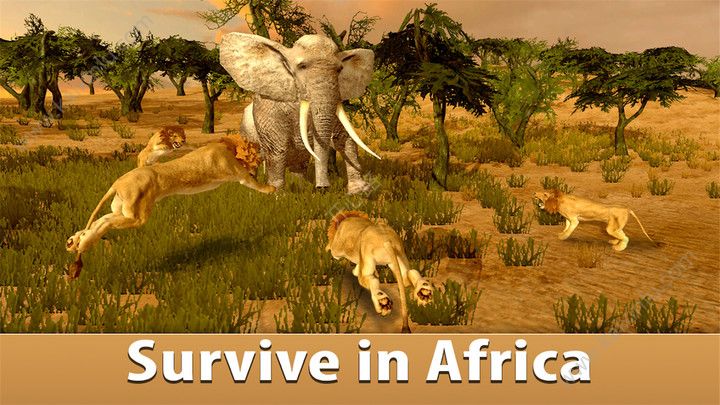 非洲探险之旅手机游戏官方安卓版图片3