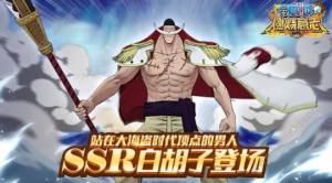 航海燃烧意志白胡子技能有哪些？白胡子技能加点/阵容搭配攻略图片2