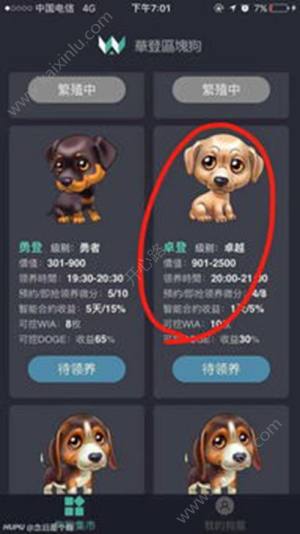 华登区块狗app官方最新版图片2