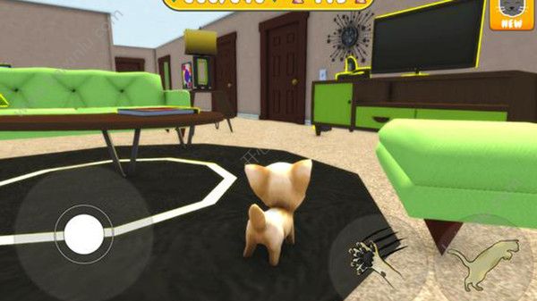 猫模拟器独自在家游戏图片3
