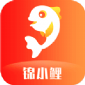 锦小鲤app官方最新版 V1.12