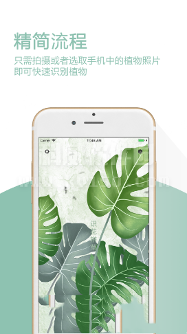 识花辨草app官方正式版图片1