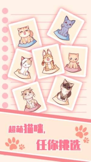 猫咪养成云撸猫官方手机版图片2