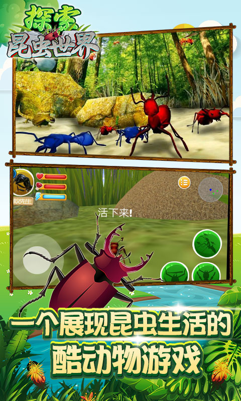 探索昆虫世界游戏最新手机版图片1