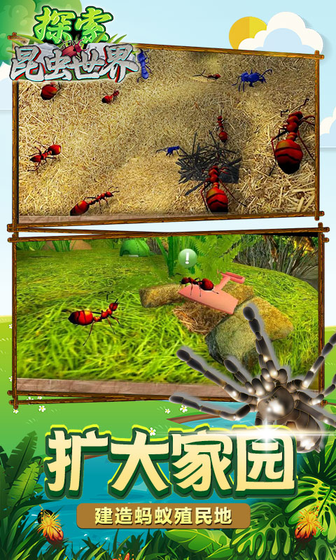 探索昆虫世界游戏最新手机版图片2