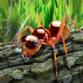 探索昆虫世界游戏最新手机版 v1.2