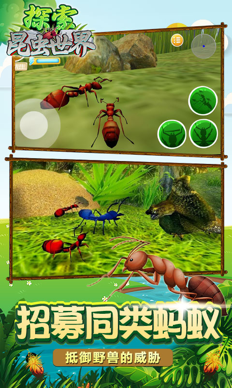 探索昆虫世界游戏最新手机版图片3