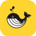 口袋鲸选app