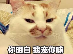 抖音网红猫咪表情包大全分享带字高清完整手机版图片2