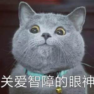 抖音网红猫咪表情包大全分享带字高清完整手机版图片3