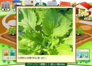 旅游鸡游戏安装包图片1