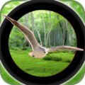 森林鸟狩猎游戏中文版 v1.0