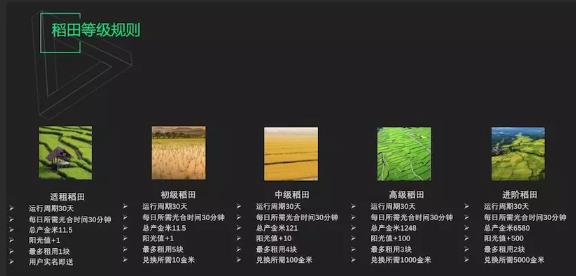 稻客app官网注册最新ios版图片2