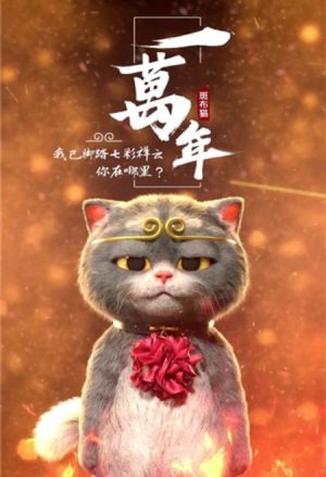 抖音动漫猫戴金箍视频动态壁纸app官方手机版图片1