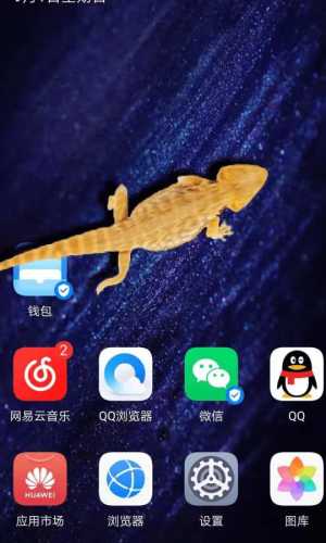 猫咪桌面宠物整蛊工具app官方最新版图片2