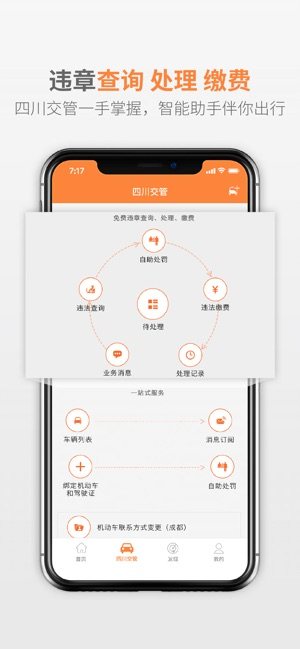 熊猫查违章app下载安装官方版图片3