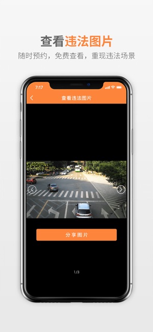 熊猫查违章app下载安装官方版图片1
