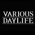 多样生活游戏(Various Daylife) v1.0