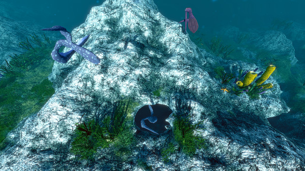 海洋生态模拟器游戏官方最新版图片2
