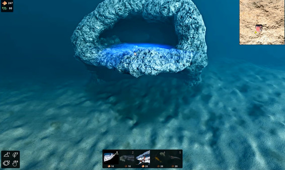 海洋生态模拟器游戏官方最新版图片3