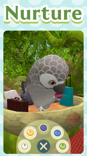 小鸟旅社扑家汉化官方版安装包apk（Bird bnb）图片3