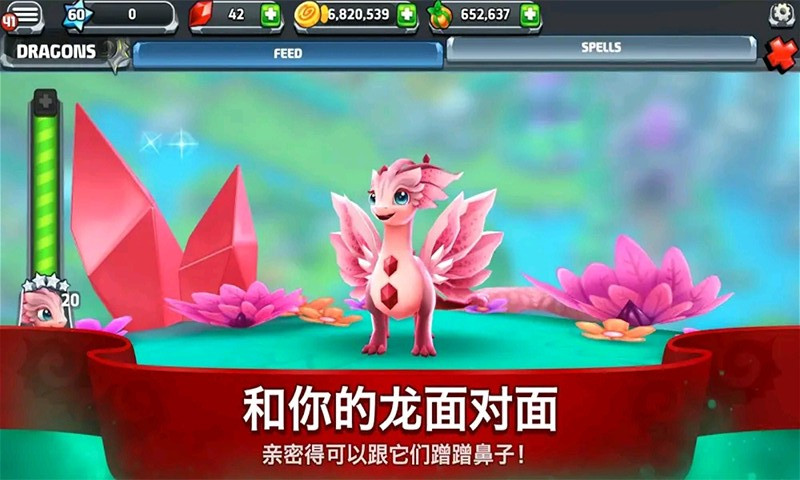 龙之驯兽师游戏app图片2