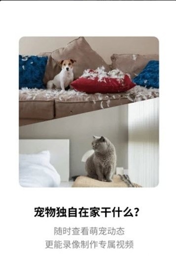 腾讯慧看家app下载官方最新版图片3