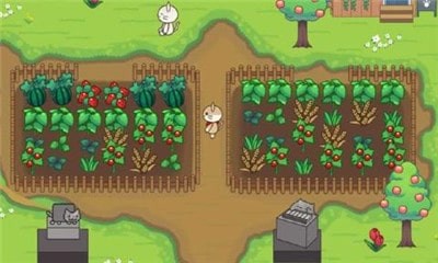 猫猫树林游戏官方手机版（Cat Forest）图片2