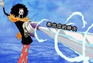 航海王燃烧意志新世界布鲁克技能是什么？100级最强加点方案分享图片3