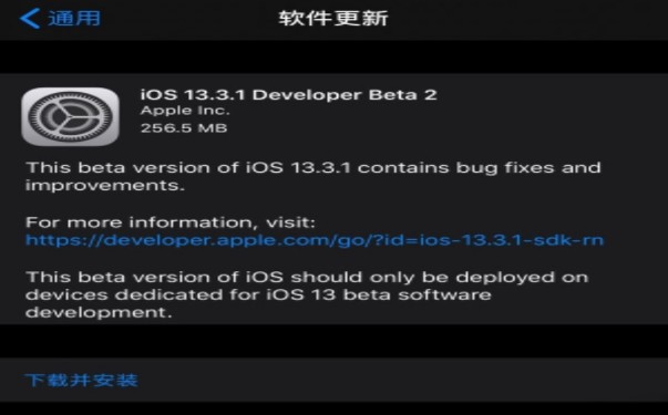 iOS13.3.1beta 2固体描述文件安装包apk图片2