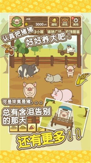 旺旺养猪场游戏话费福利版图片3