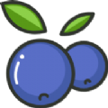 蓝莓素颜照查看器安卓手机版 v1.3