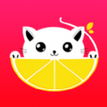 柠檬猫app官网版 v1.0