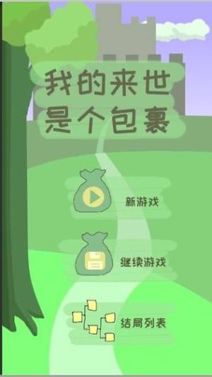 我的来世是个包裹游戏app图片4