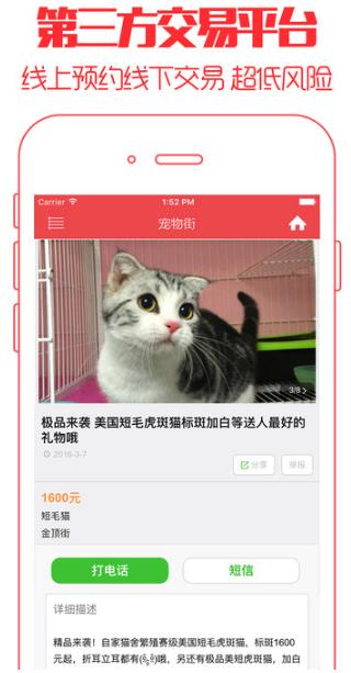 爱情公寓5云养猫官方手机版图片3