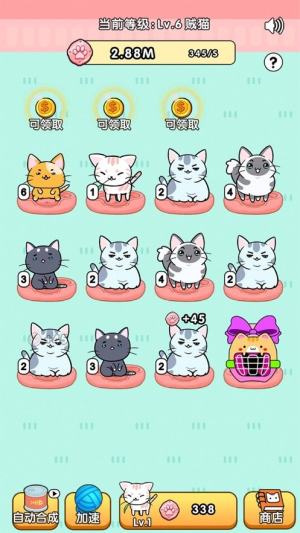 天天撸猫猫游戏福利版图片3
