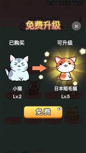 天天撸猫猫游戏福利版图片1