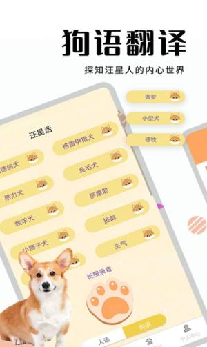 萌宠猫狗翻译软件官方app图片1