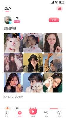 大麟商娱app官方版手机图片3
