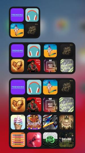 SongFeed软件手机版app图片2