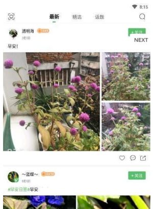 扫一扫认植物软件苹果app图片3