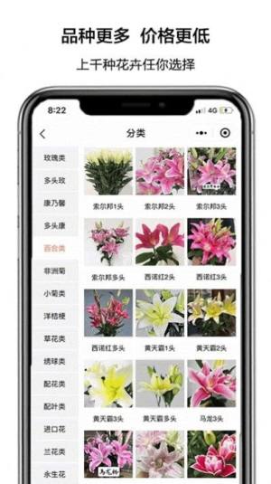 花比三家花店app手机版图片2