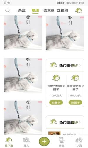 膝下猫App免费安装包图片2