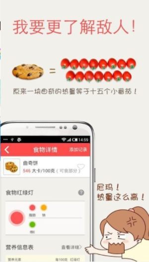 薄荷减肥21天食谱app软件图片1