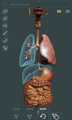 人体3d立体解剖软件手机安卓版图片3