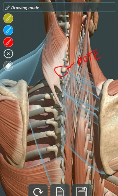 人体3d立体解剖软件手机安卓版图片1