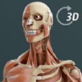 人体3d立体解剖软件